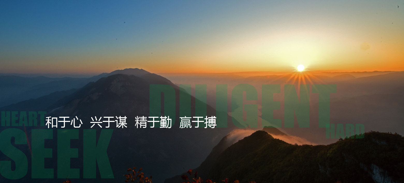 1547445928362066.jpeg 企业价值观资料图片.jpg